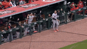 Celebrate San Francisco Giants GIF by MLB