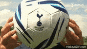 tottenham hotspur spurs GIF