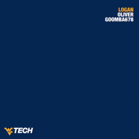 Esports Overwatch GIF by WVU Tech Golden Bears