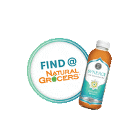 Kombucha Probiotics Sticker by GT's Living Foods