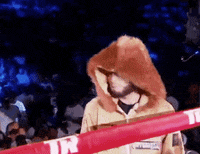 toprank fight boxing fighting espn GIF