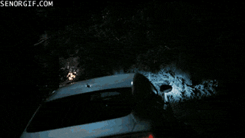vampire fail GIF by Cheezburger