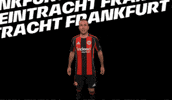 Bundesliga Vamos GIF by Eintracht Frankfurt