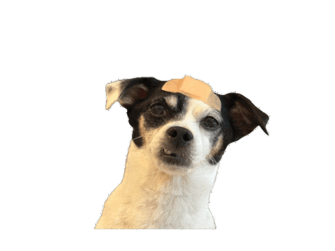 Dog Puppy Sticker