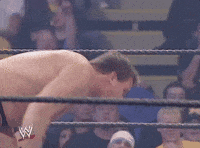 survivor series wrestling GIF by WWE