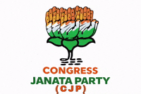 Party India GIF