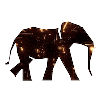 Phant_Branding branding publicidade phant Sticker
