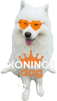 Benji Samoyed Sticker