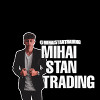 SkyTradingAcademy trading stan mihai mihaistantrading GIF