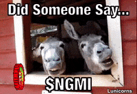Crypto Nft GIF