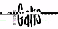 galisjewelry galisjewelry GIF