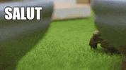 Souris GIF by CANAL+
