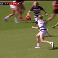 guthrie goal v2 GIF by AFL