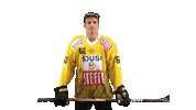 Hockey Ice Sticker by Vienna Capitals