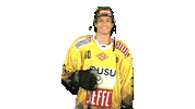 Hockey Caps Sticker by Vienna Capitals