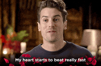 heart love GIF by The Bachelorette Australia