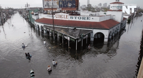 new orleans news GIF by NowThis 