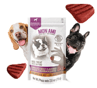 monamimascotas puppy snacks perro mascotas Sticker