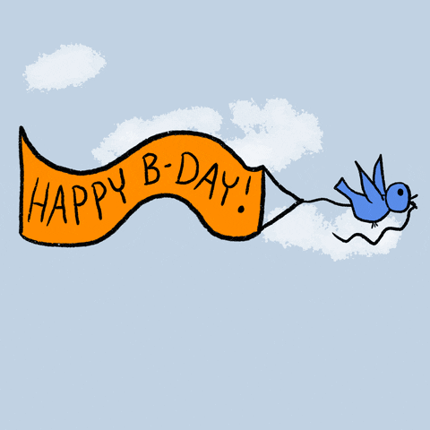 mgdoodlestudio giphyupload birthday bird banner GIF