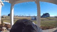 Delivery Driver's Truck Rolls Away