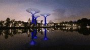 gardensbythebay GIF