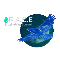 Race Sticker by Abu Dhabi Global Market