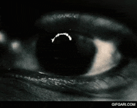 Looking At You GIF by GifGari