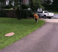 pics thursday GIF