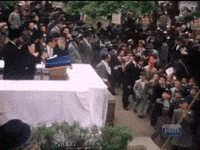 new york joy GIF by Chabad.org
