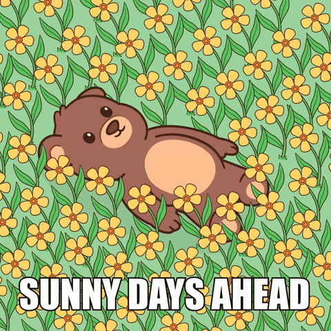 GIF by BEARISH