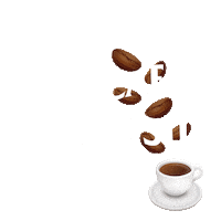 Bjj Jiu Jitsu Sticker by Coffee&Kimuras