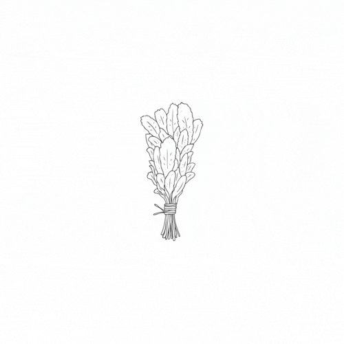 SageSocial sage sagesocial sage social GIF