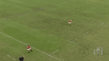 Usa Rugby Sport GIF by Rugby World Cup