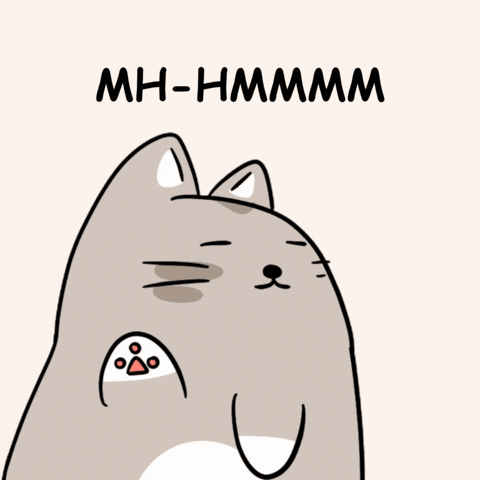 Cat No GIF by MESA My Emotional Support Animal