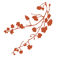 Flower Boho Sticker
