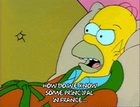 Season 1 GIF by The Simpsons