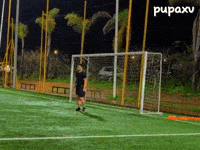 Twitch Streamer Football GIF
