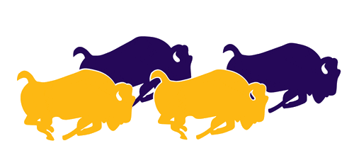 lipscombalumni giphyupload lipscomb lipscomb university lipscomb day of giving Sticker