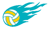 Sport Volleyball Sticker by TuiFR