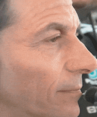 Wolf F1 GIF