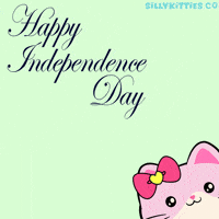 Independence Day Usa GIF by Silly Kitties