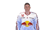 Ice Hockey Yes Sticker by EC Red Bull Salzburg