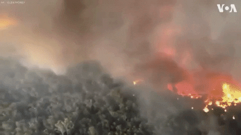 giphydvr giphynewsinternational wildfire australia fires australia fire GIF