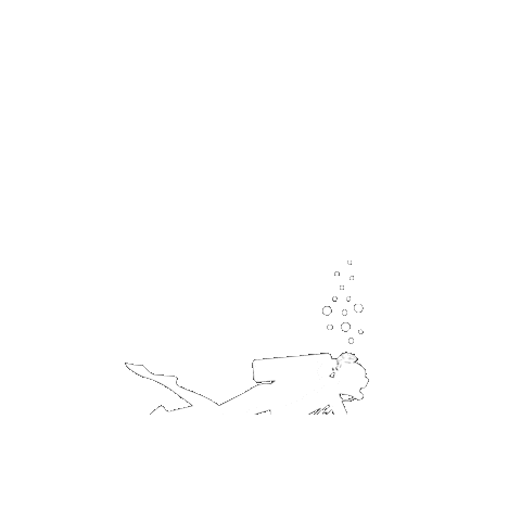 Scuba Diving Sticker by Midwest Mermaids Scuba