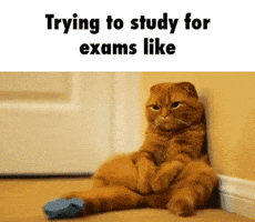 Exams GIF