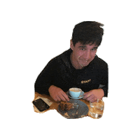 Willberkman Sticker by Steed Fitness