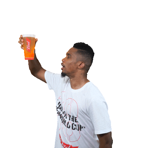 world cup football Sticker by Budweiser