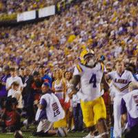 College Football GIF by LSU Tigers