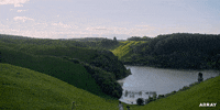 New Zealand Missy GIF by ARRAY