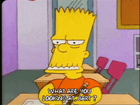 Season 1 GIF by The Simpsons